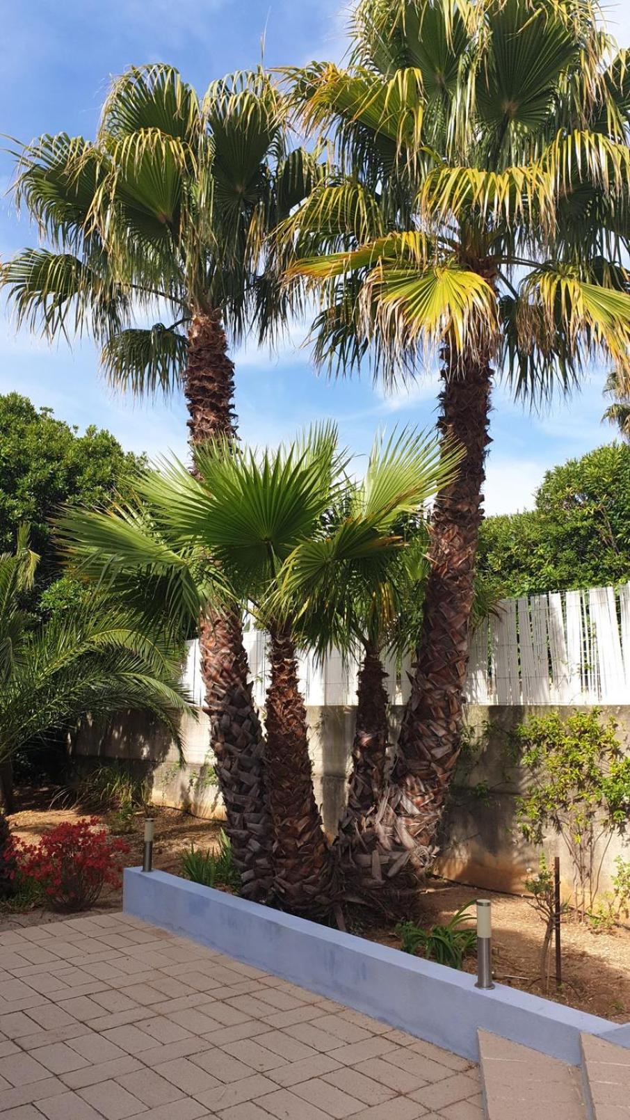 Villa Andalucia, Pisc Chauf Mai A Sept La Ciotat Bagian luar foto